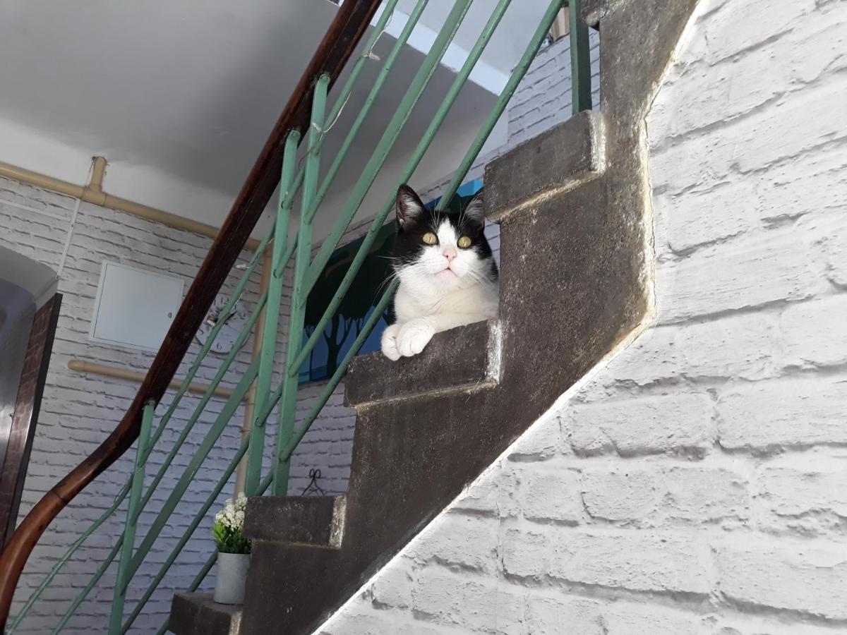 Apartament Rozana Przy Ice Krakau Buitenkant foto