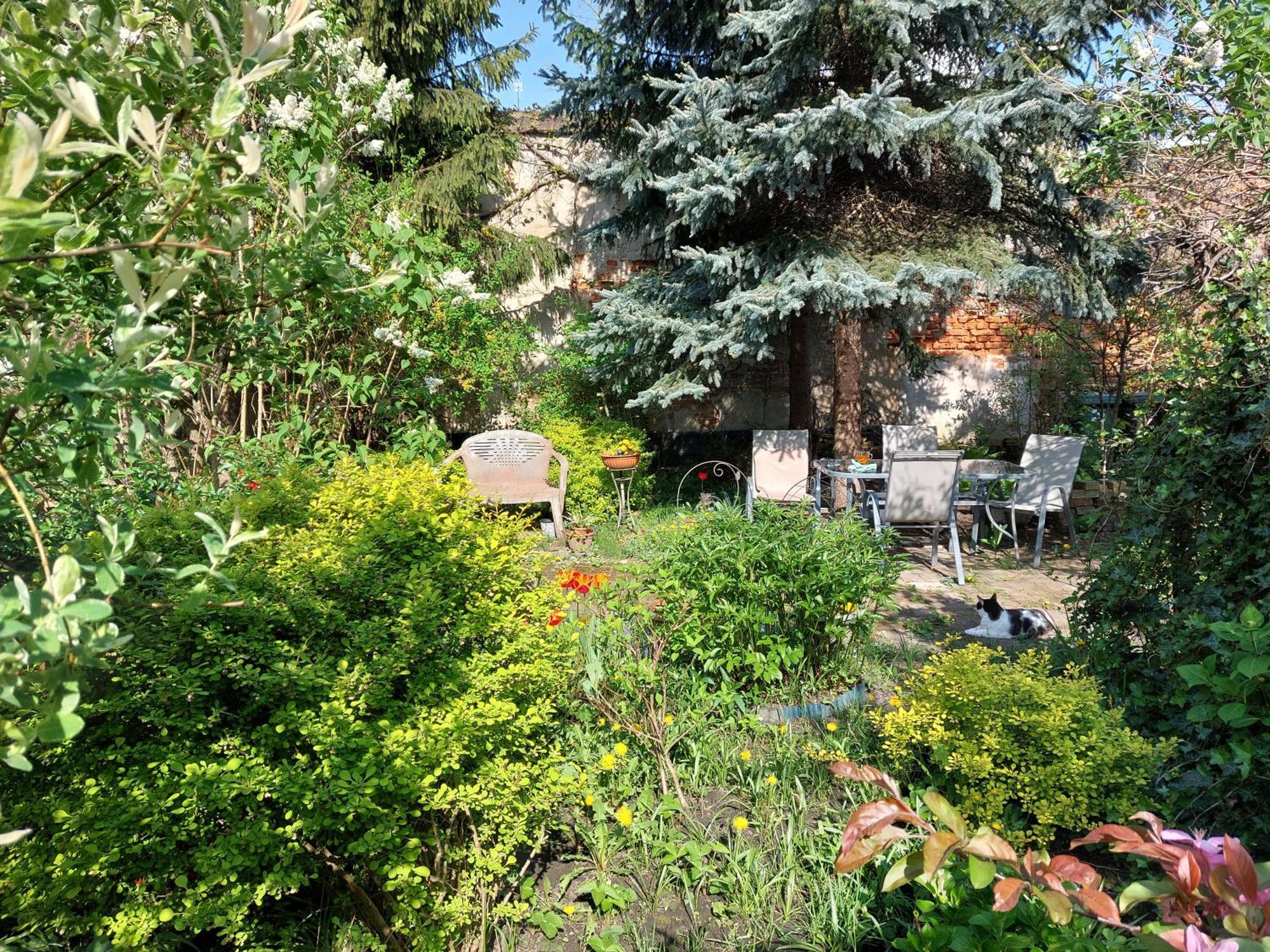 Apartament Rozana Przy Ice Krakau Buitenkant foto